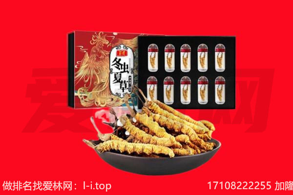 廊坊市回收虫草.jpg